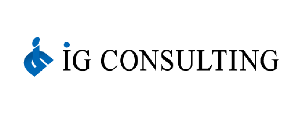 IG CONSULTING